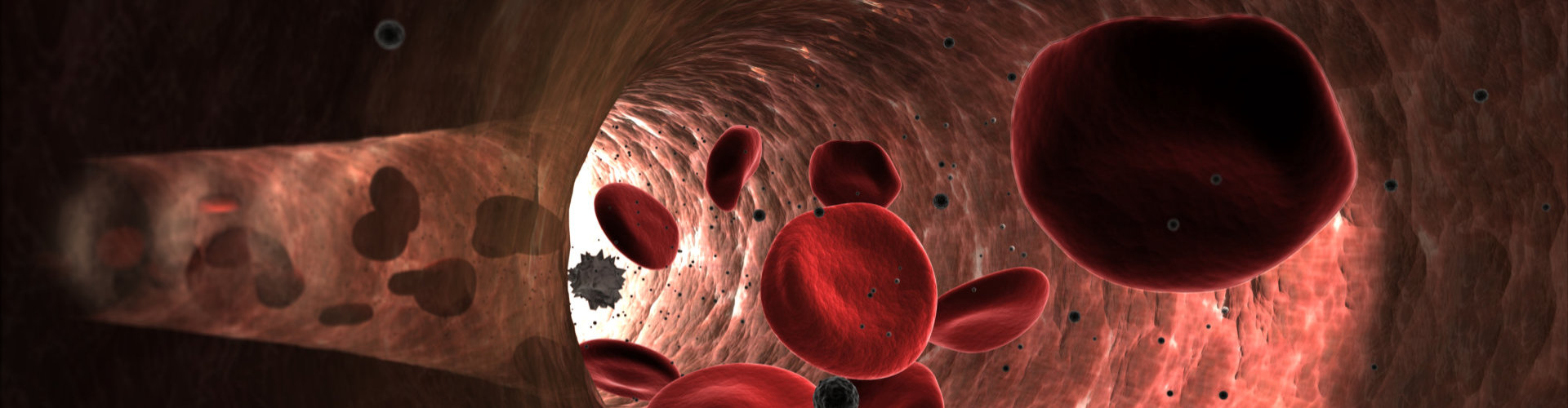 hemoglobin - red blood cells